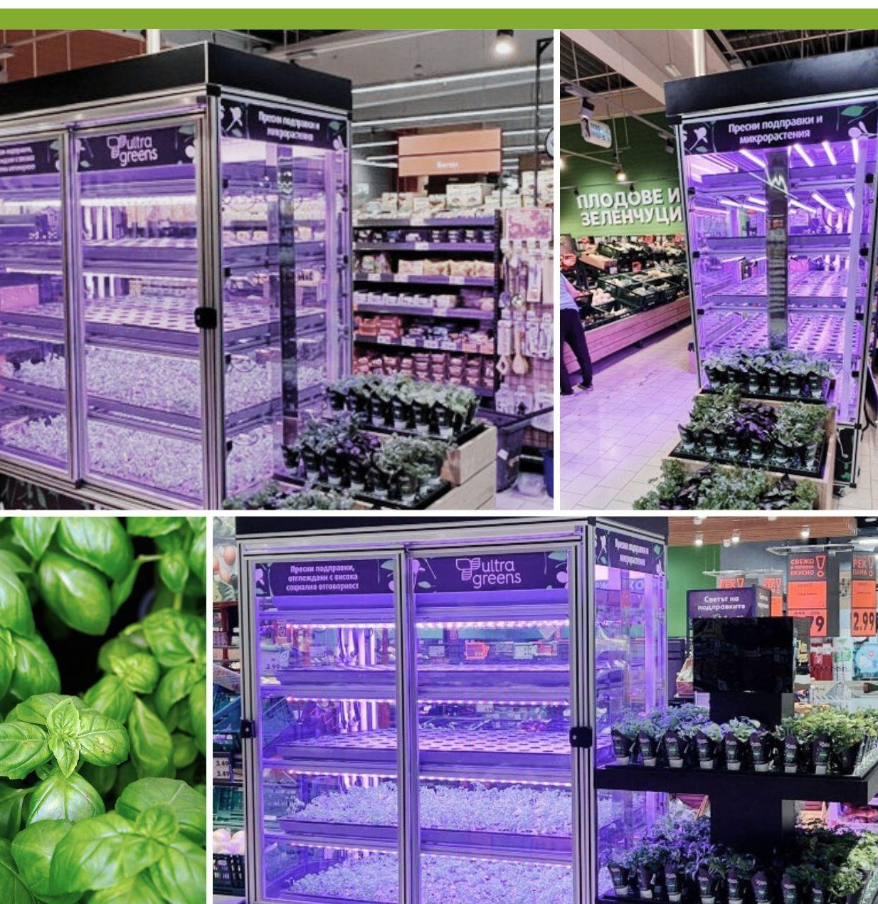 Kaufland nr. 2800 | 5000 | 5800