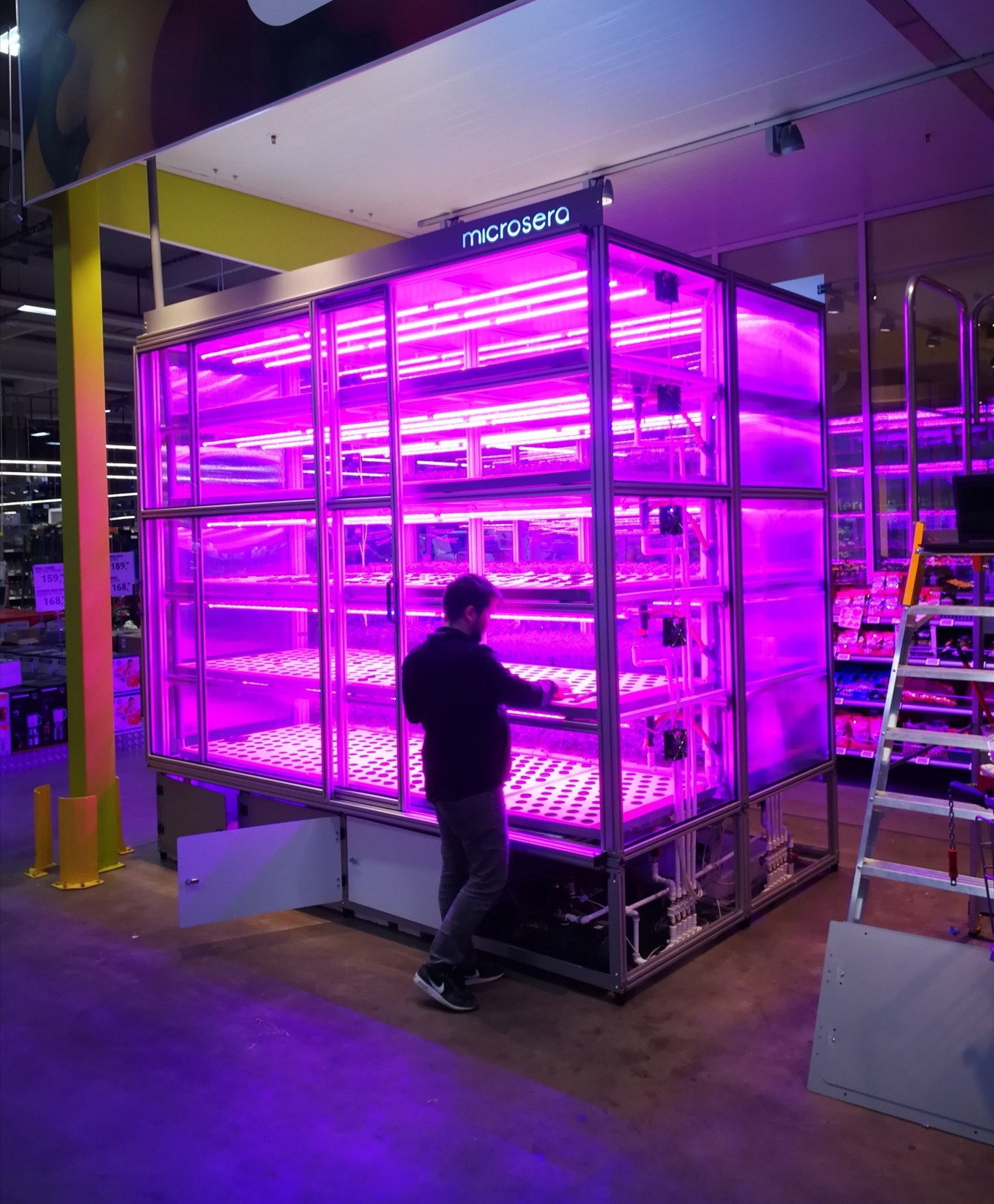 Metro Cash&Carry Bucuresti, Romania